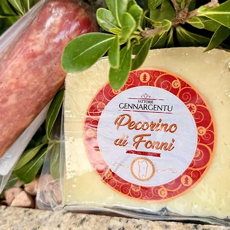 Luxurious And Posh In Historical Centre Apartment Olbia